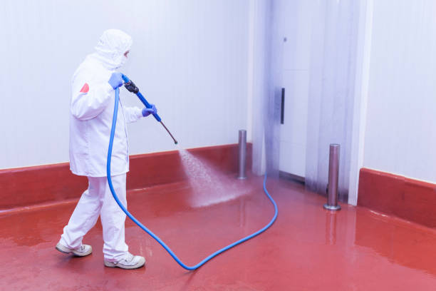 Trusted Smithville, MO Pressure Washing Services Experts